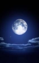 ߸10 ߥåΥ֥쥹NO11-01-09