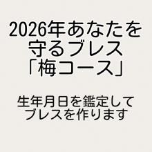 <img class='new_mark_img1' src='https://img.shop-pro.jp/img/new/icons14.gif' style='border:none;display:inline;margin:0px;padding:0px;width:auto;' />2026ǯꥸʥ֥쥹åȡߥפʤΡȱ̿߷׿ޡɤɤ߲򤭡
ǤҤȤĤΥ֥쥹NO11-11-01