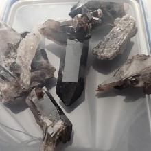 <img class='new_mark_img1' src='https://img.shop-pro.jp/img/new/icons14.gif' style='border:none;display:inline;margin:0px;padding:0px;width:auto;' />δμդžäƤ̤Υ󥽡 ꥪ󥯥饹 881.5ޤȤƥɥå (DE11-03-03)