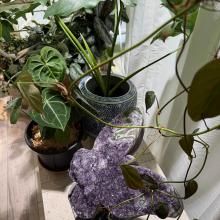 <img class='new_mark_img1' src='https://img.shop-pro.jp/img/new/icons15.gif' style='border:none;display:inline;margin:0px;padding:0px;width:auto;' />Хե饤᥸ (DE11-03-10)