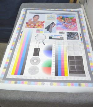 カラープロッターHP Designjet 110plus四色機 A1対応中古プロッター - 中古コピー機・複合機・プリンターのことならイーコピー