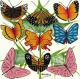 ƥ󥬥ƥ󥬡 6226<br>֥եꥫĳۥ磻ȡ<br>by ӥ<br>S