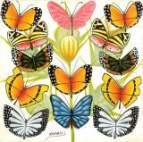 <img class='new_mark_img1' src='https://img.shop-pro.jp/img/new/icons24.gif' style='border:none;display:inline;margin:0px;padding:0px;width:auto;' />ڲ͸ꥷåȥۥƥ󥬥ƥ󥬡 18293<br>֥եꥫĳۥ磻ȡ<br>by ӥ<br>S