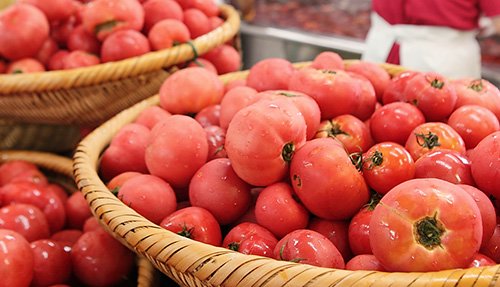 真っ赤に熟した完熟トマト