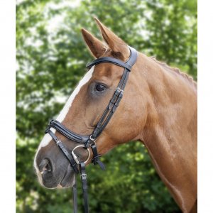 乗馬・乗馬用品・馬具> Anatomic 頭絡 セット（ハミ・手綱・コンビ鼻革