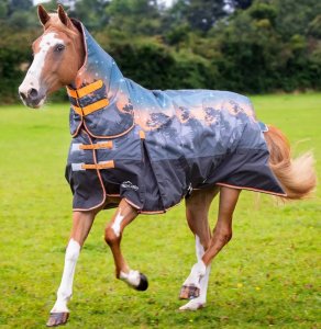 冬の空をイメージした珍しい風景の馬着。抜け毛やおが粉がつかないナイロン素材の馬着-乗馬用品・馬具オリエンタルソフィー-