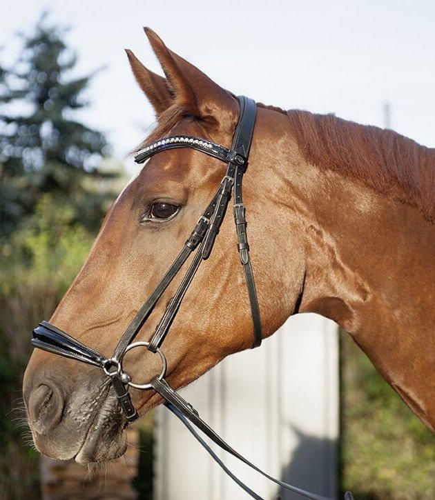 ドイツ鼻革頭絡 | 手綱付 - 格安の乗馬用品やアウトレットの馬具、乗馬用品の専門店-オリエンタルソフィー-