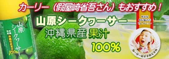 ʥХ륷˾ܺ