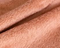 ���ȥ졼��