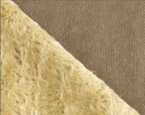 �ե�����