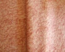 �ԥ�/��/�դ�����