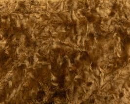 󥻥ƥå13mm 1/8m TM03奿դ̤