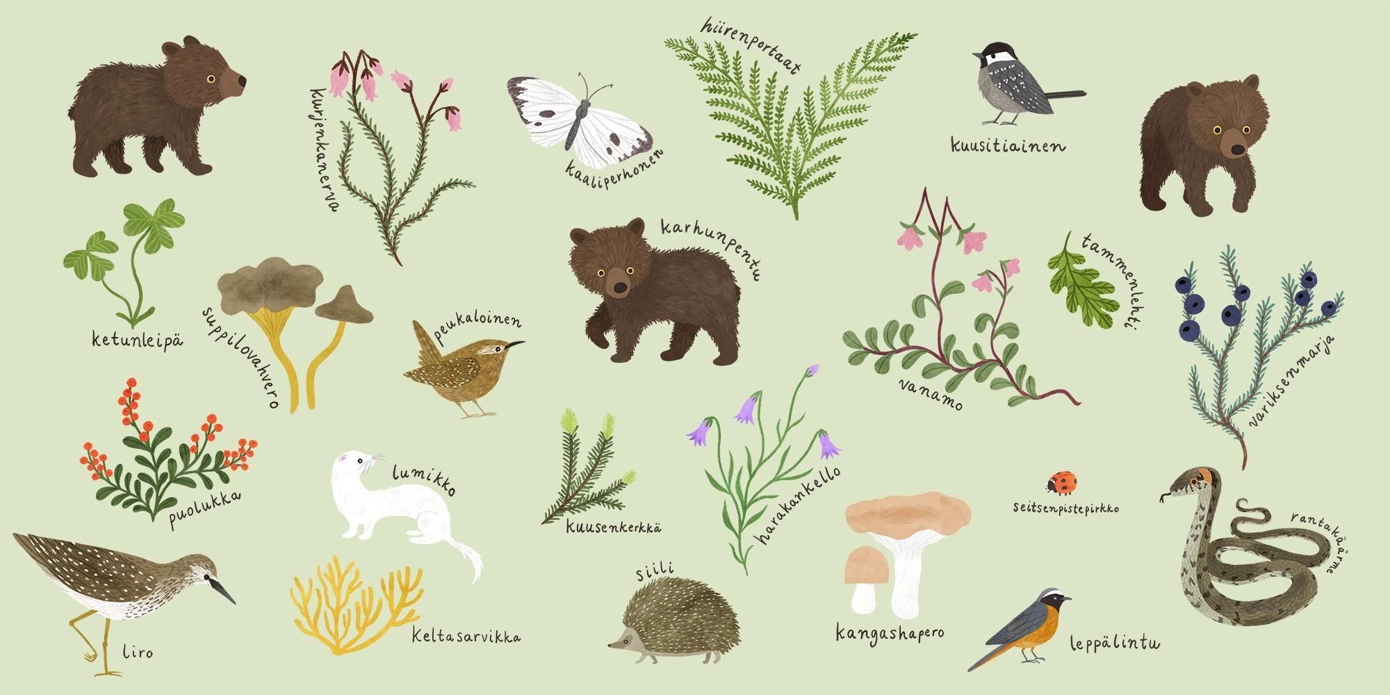 Lintukoto(リントゥコト)