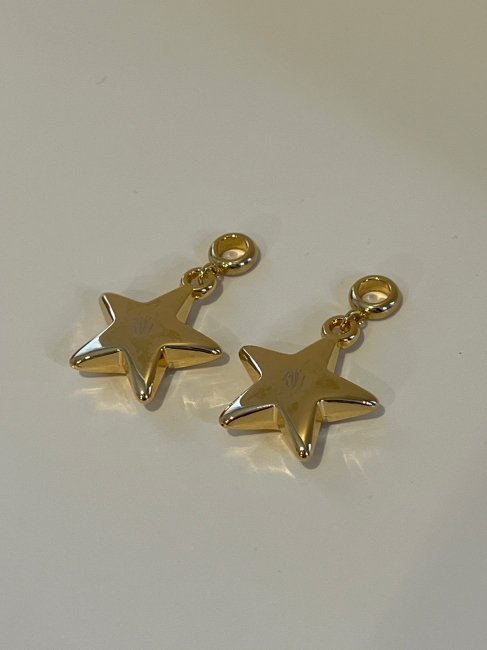 2/17～【WINTER SALE】big star charm（両耳）【2色展開】※2/22頃より順次発送予定 - RosyMonster