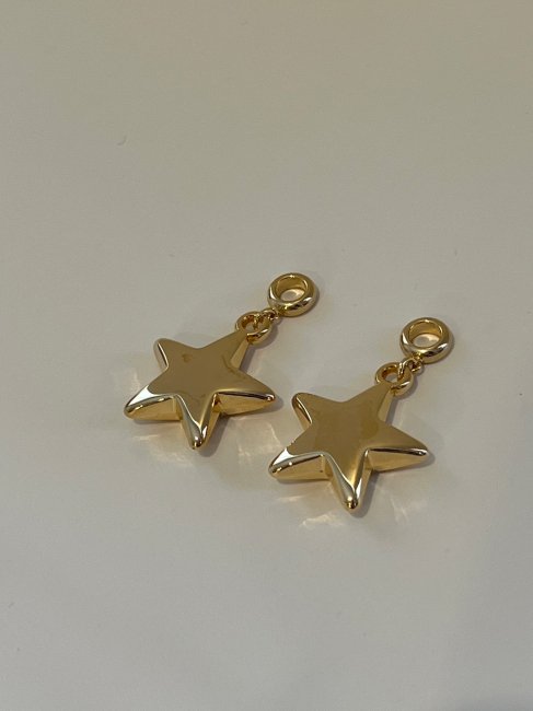 3/30～【FINAL SALE】big star charm（両耳）【2色展開】※4/3頃より順次発送予定 - RosyMonster