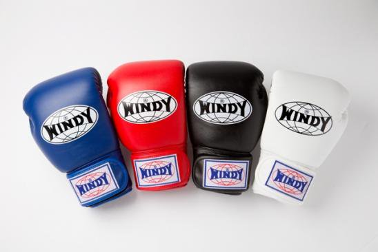 WINDY ボクシンググローブ - ボクシンググローブ、ムエタイ、キック