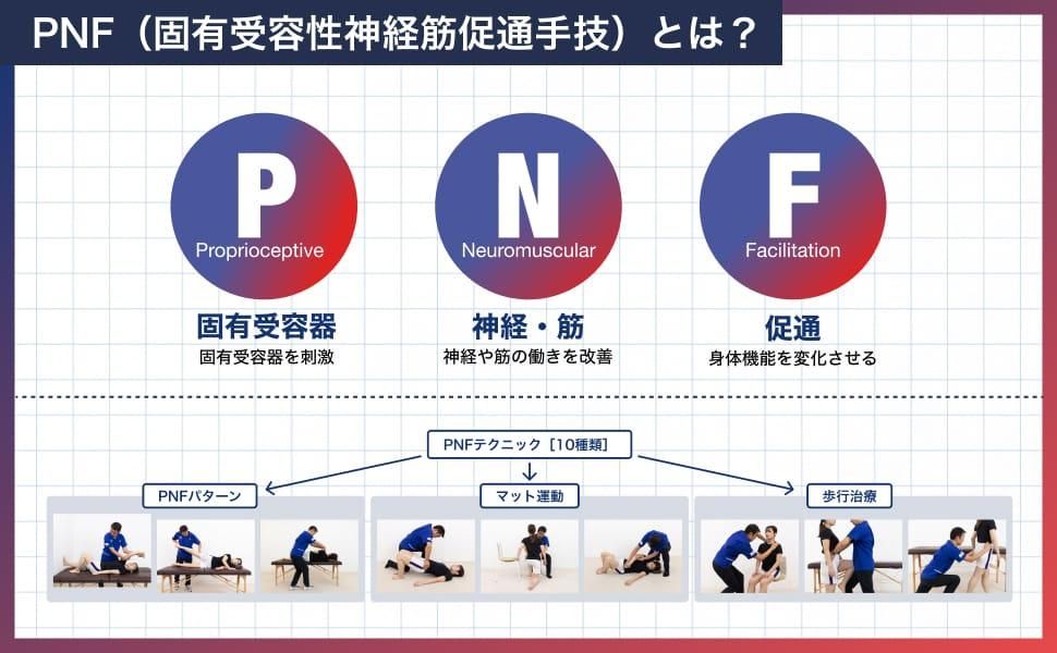 臨床に役立つPNF - 運動と医学の出版社