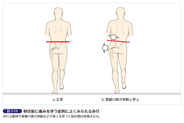 入谷誠の理学療法 評価と治療の実際」の正誤表 - 運動と医学の出版社