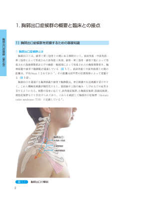 肩関節拘縮の評価と運動療法 臨床編