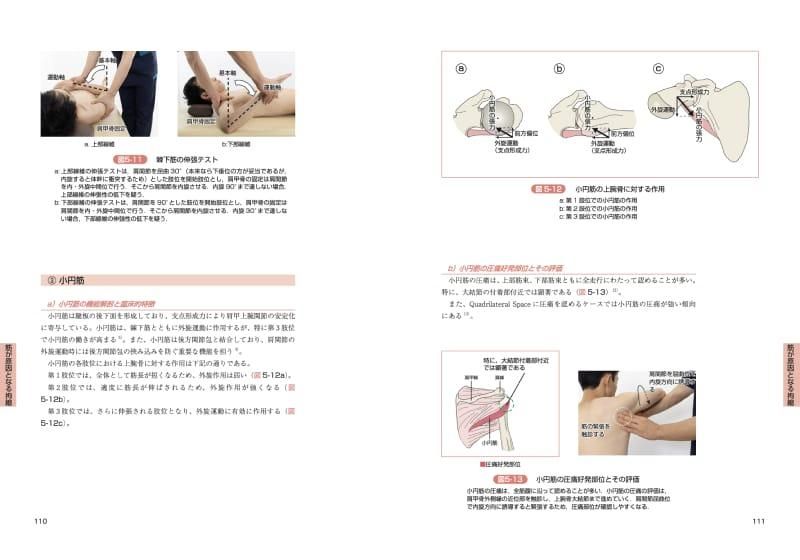 肩関節拘縮の評価と運動療法 改訂版自然医療薬学健康