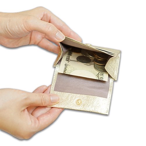スマホカバーに装着できる極小財布 2wayミニマムウォレット＜シャンパンゴールド＞のコンパクトで収納大の画像