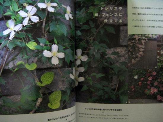 つる植物のガーデニング 宙 Sora Booksソラブックス 湘南の本 料理本 絵本 児童書 花や植物 の本など日々のくらしを楽しくする古本を扱うオンライン専門の古本屋