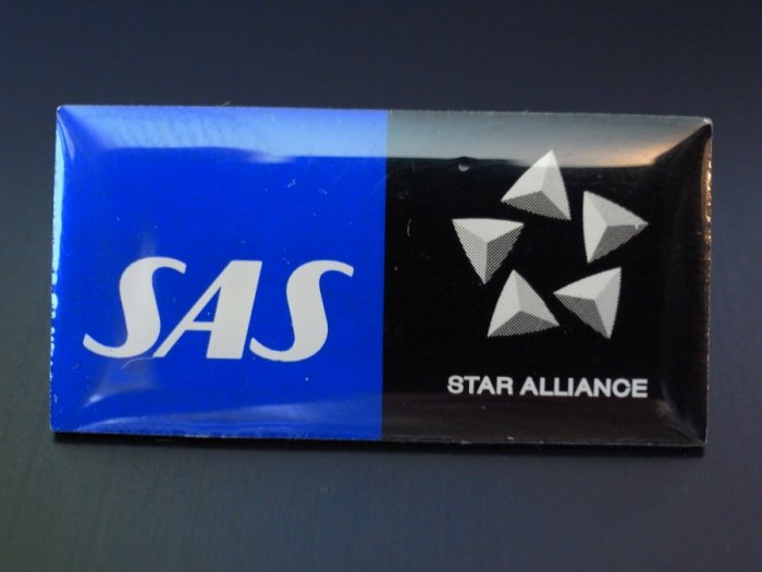 【「SAS/スカンジナビア航空」ｘ「STAR ALLIANCE/スターアライアンス」｜ピンバッジ】 -福岡｜エッグプラント・エッグ｜北欧のビンテージ