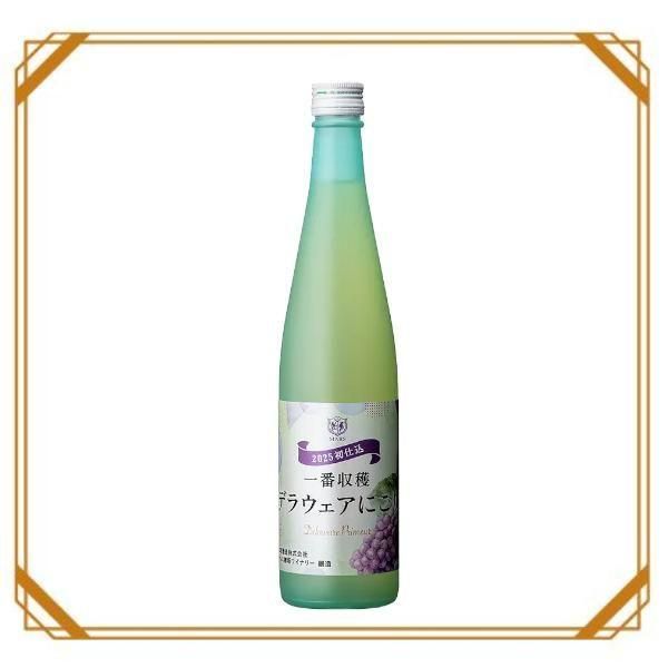 ּϡǥ饦ˤꡡ500ml˷¤