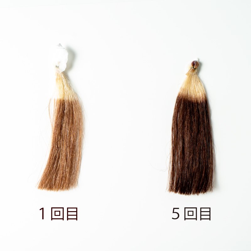 ヘアカラー トリートメント＜ダークブラウン＞200g【生活の木