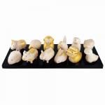 ݤݤ줨ȥåȡ㥴ɡ佽١ܹ¡T-Lab.<img class='new_mark_img2' src='https://img.shop-pro.jp/img/new/icons5.gif' style='border:none;display:inline;margin:0px;padding:0px;width:auto;' />