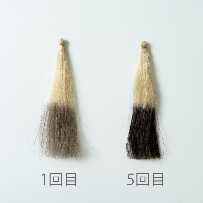 ヘアカラー トリートメント＜ナチュラルブラック＞200g【生活の木