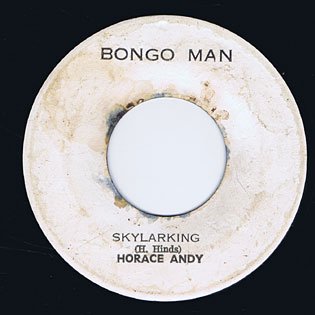 SKYLARKING / HORACE ANDY - MORE AXE  RECORDS｜Ska,RockSteady,Reggae,Calypso,Roots,Dancehall,Dub