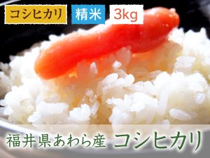 福井県あわら産 コシヒカリ 精米 3kg