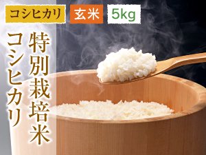 福井県産のお米 - 福井のおいしいお米 通販サイト あわら農楽ファーム ｜ コシヒカリ ｜ハナエチゼン