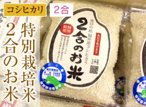 福井県産のお米 - 福井のおいしいお米 通販サイト あわら農楽ファーム