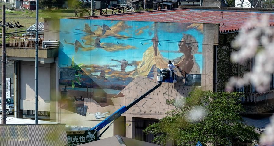 �ɲ���������1