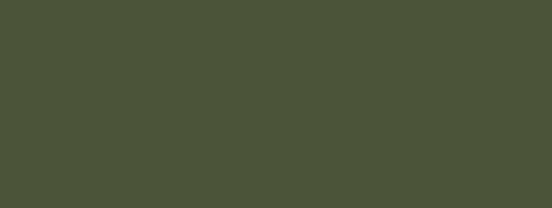 TAKARATORYOオリジナルカラー　オリーブカーキ - 塗料の日塗工・マンセル値の色合わせの調色屋