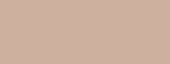 TAKARATORYOオリジナルカラー　ピーチベージュ - 塗料の日塗工・マンセル値の色合わせの調色屋