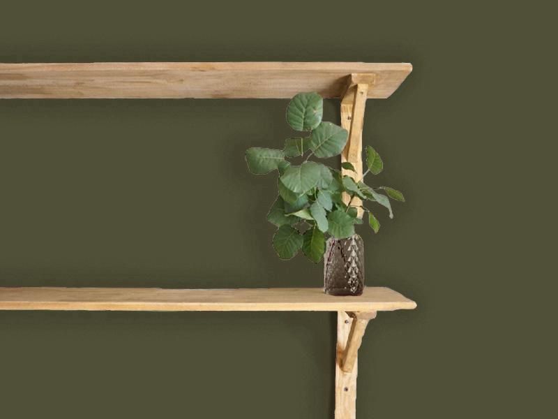 TAKARATORYOオリジナルカラー モスポンド - 塗料の日塗工・マンセル値