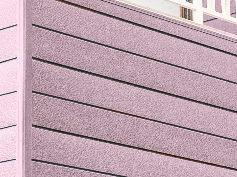 TAKARATORYOオリジナルカラー ミックスベリースムージー - 塗料の日塗