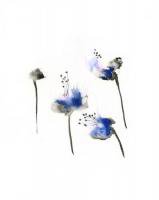DUEALBERI | BLUE FLOWERS WATERCOLOR PRINT | A3 ȥץ/ݥξʲ