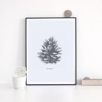 LOVELY POSTERS | PINE CONE PRINT | アートプリント/ポスター【北欧 シンプル おしゃれ】 (50x70cm)の商品画像