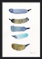 THE CLAY PLAY | 5 BIRD FEATHERS (blue/olive) (no.276) | A3 ȥץ/ݥξʲ