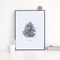 LOVELY POSTERS | PINE CONE PRINT | A3 アートプリント/ポスター【アウトレット】の商品画像