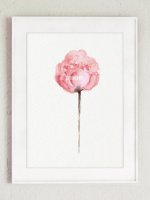 COLOR WATERCOLOR | Abstract Flower Peonies Art #1 | A3 ȥץ/ݥξʲ