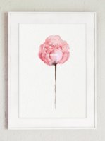 ڥͥݥ̵COLOR WATERCOLOR | Abstract Flower Peonies Art #1 | A4 ȥץ/ݥξʲ