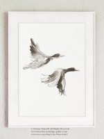 COLOR WATERCOLOR | Duck Art Print | A3 ȥץ/ݥξʲ