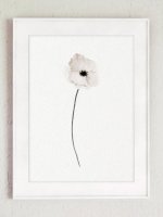 COLOR WATERCOLOR | Poppy Flower Art #1 | A3 ȥץ/ݥξʲ