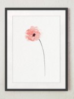 COLOR WATERCOLOR | Poppy Flower Art #3 | A3 ȥץ/ݥξʲ