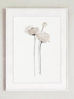 COLOR WATERCOLOR | White Poppy Art Print | A3 ȥץ/ݥξʲ